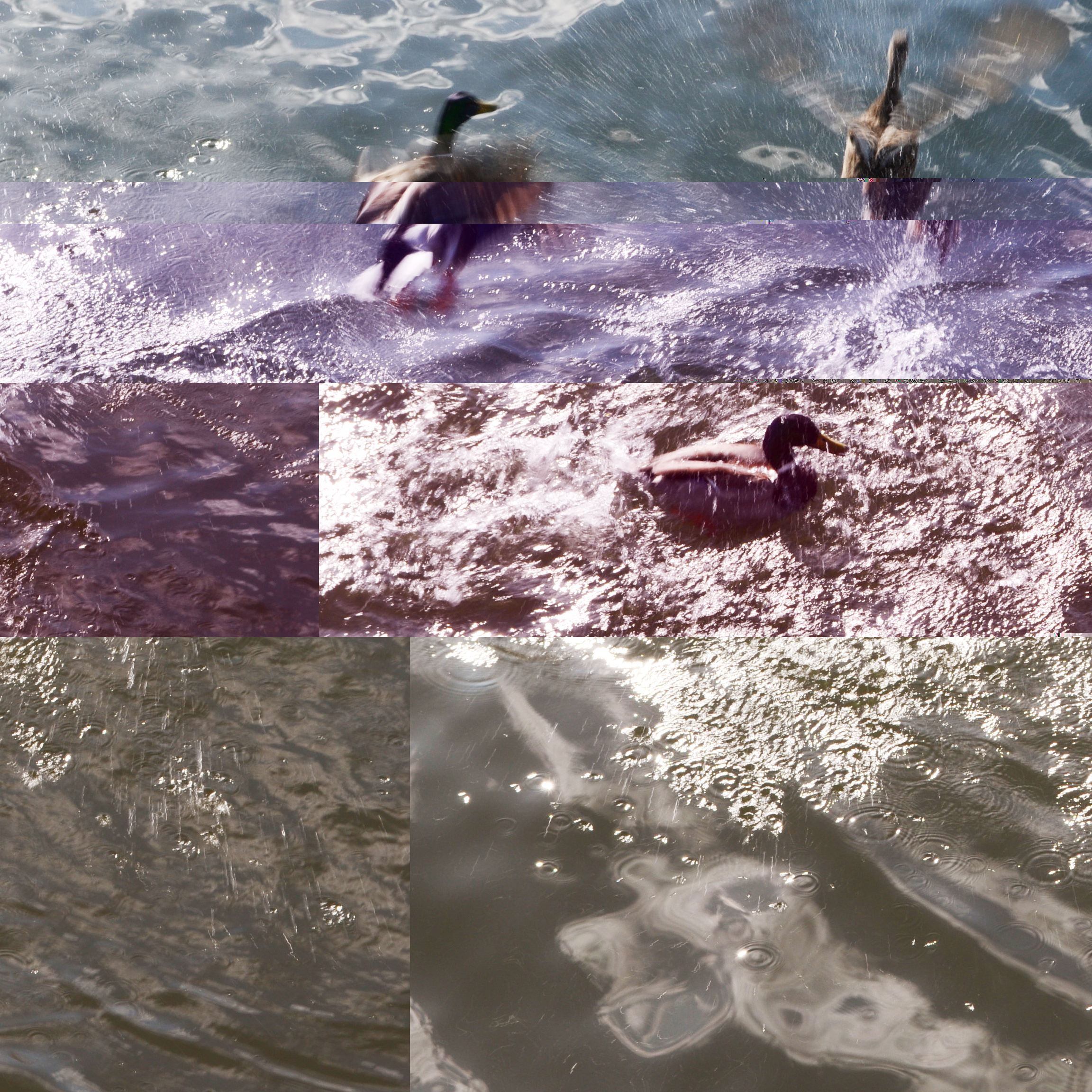 Photography by Colin T. Curley